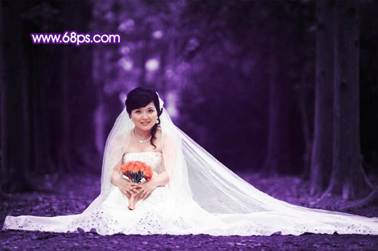 紫色婚纱照(3)